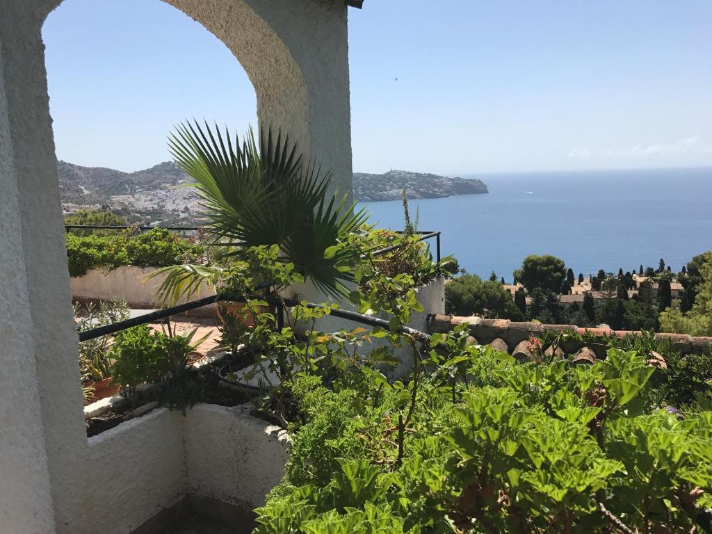 Casa Hortensia photo 4
