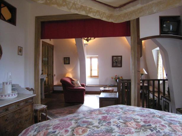 Château de Flée photo 1