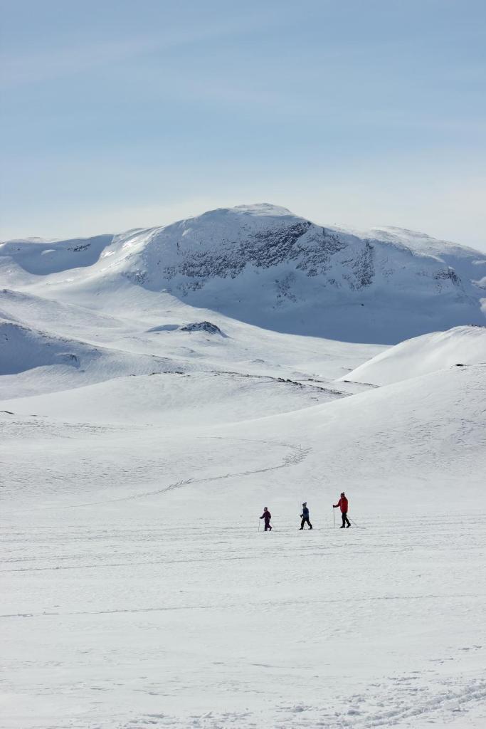 Bygdin Høyfjellshotell photo 4