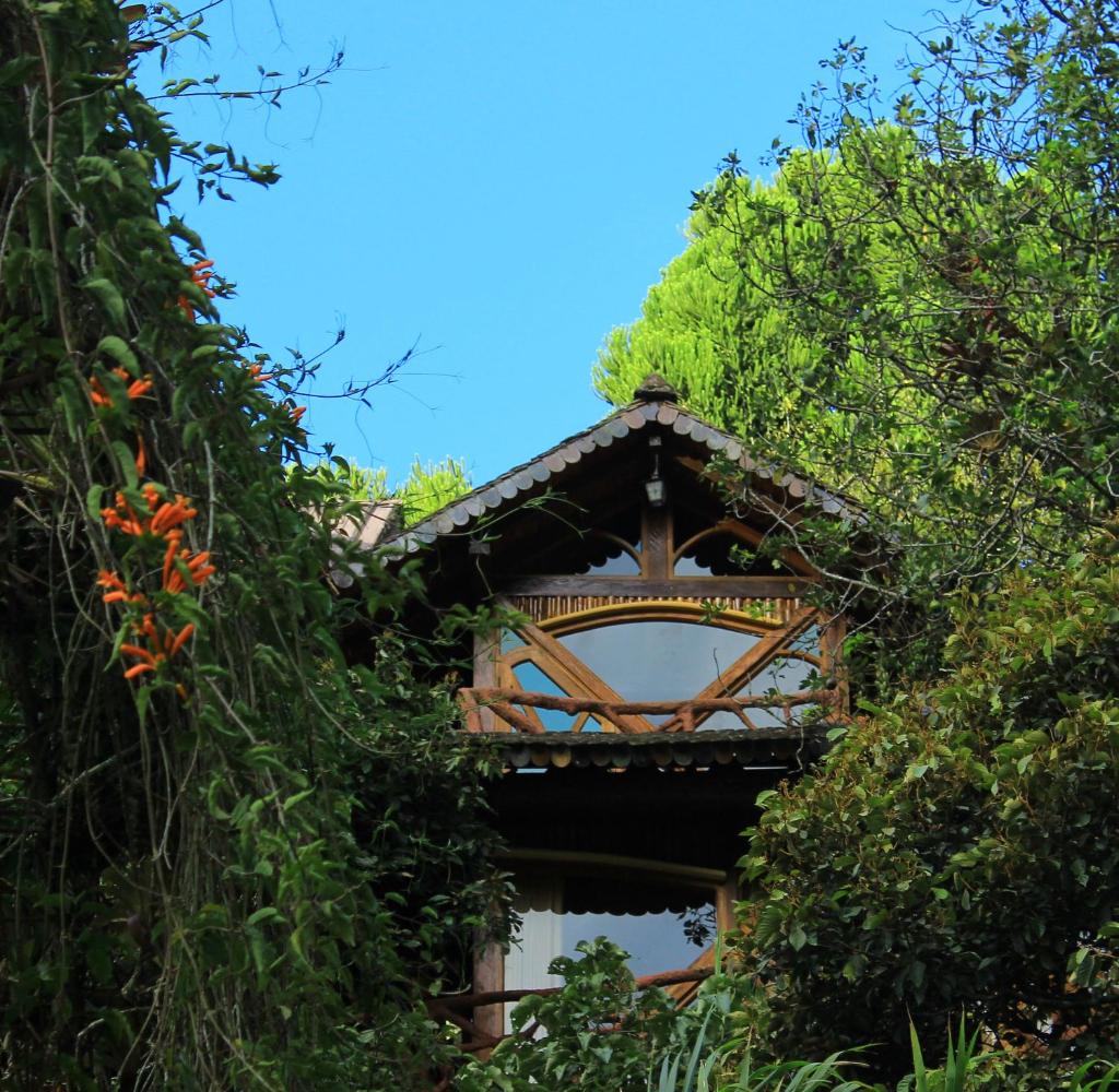 Finca Chamanapamba Guest House photo 3