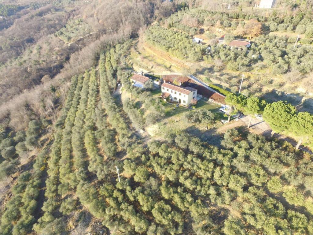 Holiday House Petrarca photo 3