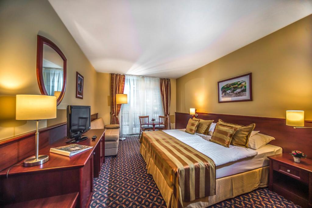 Двухместный (Двухместный номер с 1 кроватью), Hotel Kapitany Wellness