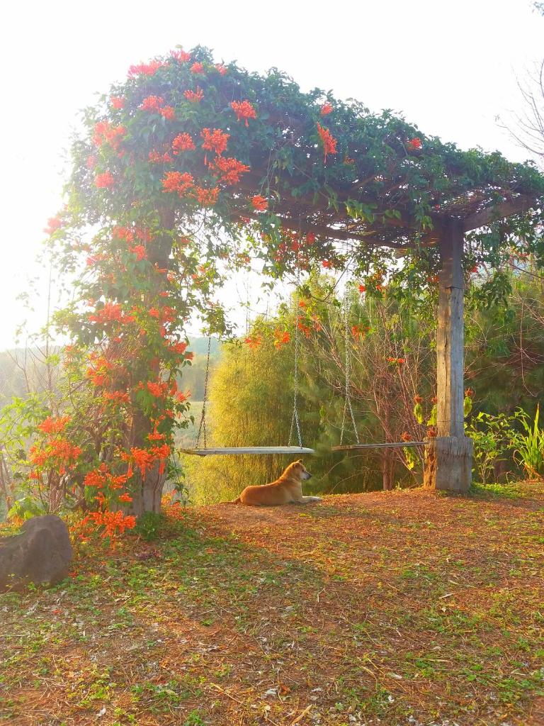 Baan Ing Phu บ้านอิงภู photo 2