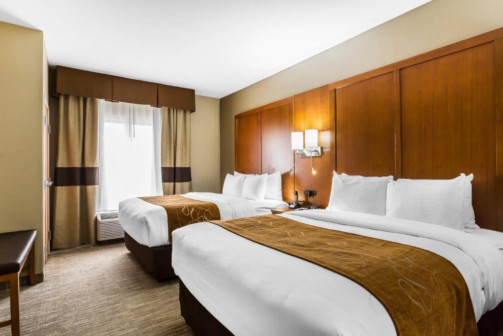 Comfort Suites - University photo 4