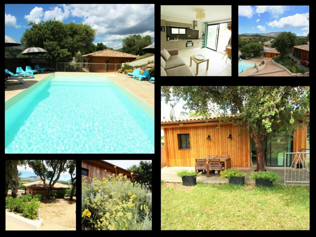 casa suara photo 2