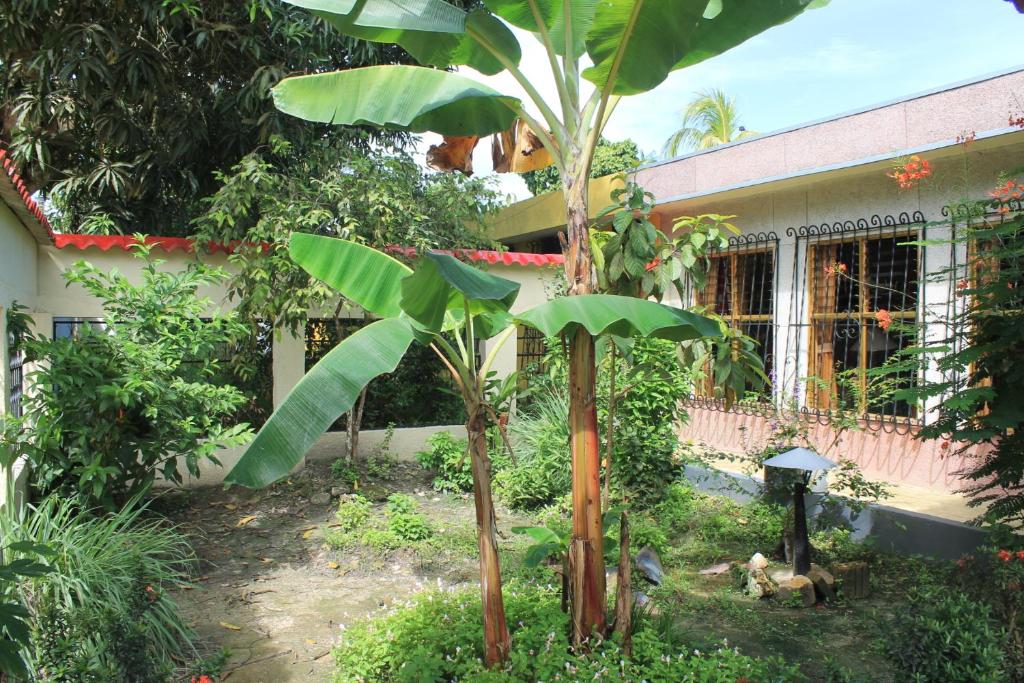 Casa Nora & Alejo photo 4