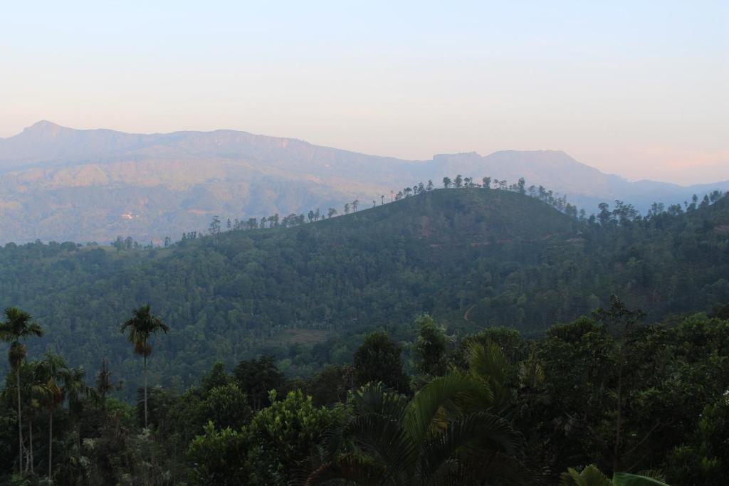Rangala House photo 4