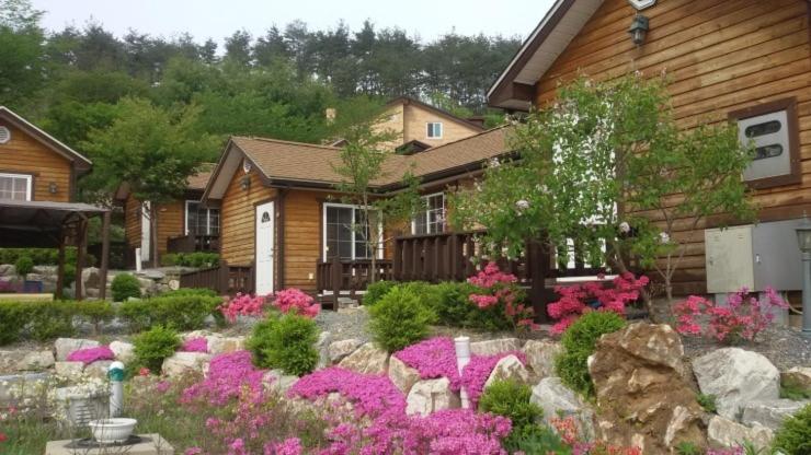 Oraview Pension photo 1