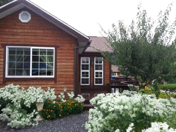 Oraview Pension photo 3