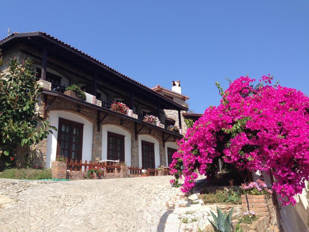 Loca Hotel photo 3