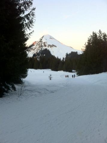 Terrasses Du Mont Blanc photo 1