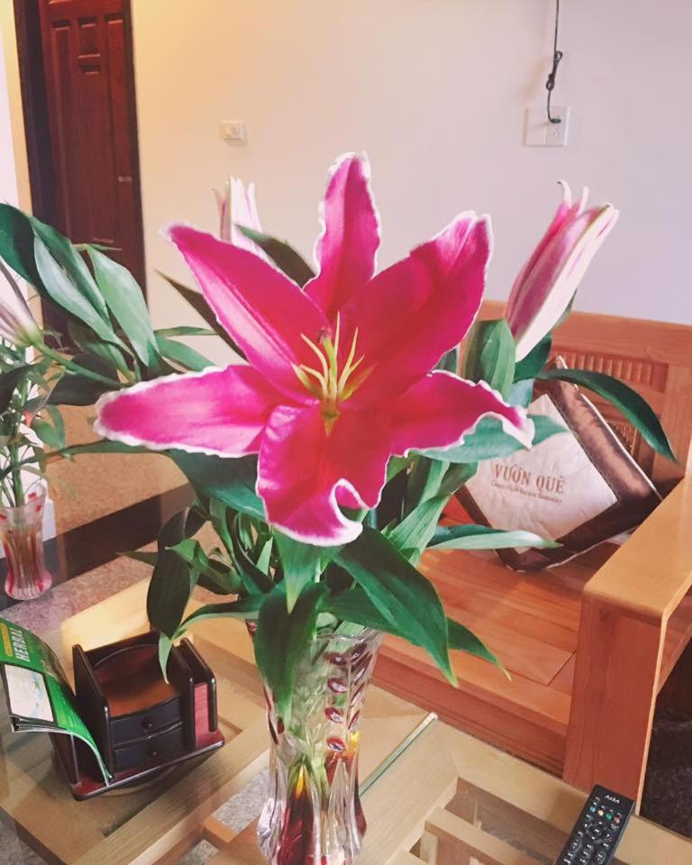 Countryside Garden Homestay