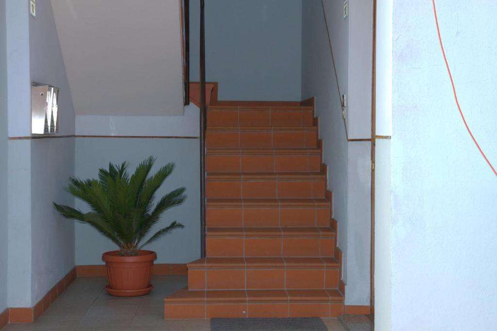 Casa Giuliano photo 2