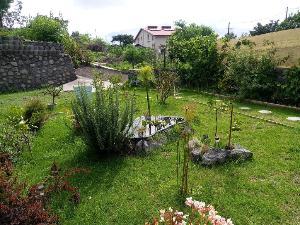 Les Jardins Créoles photo 3
