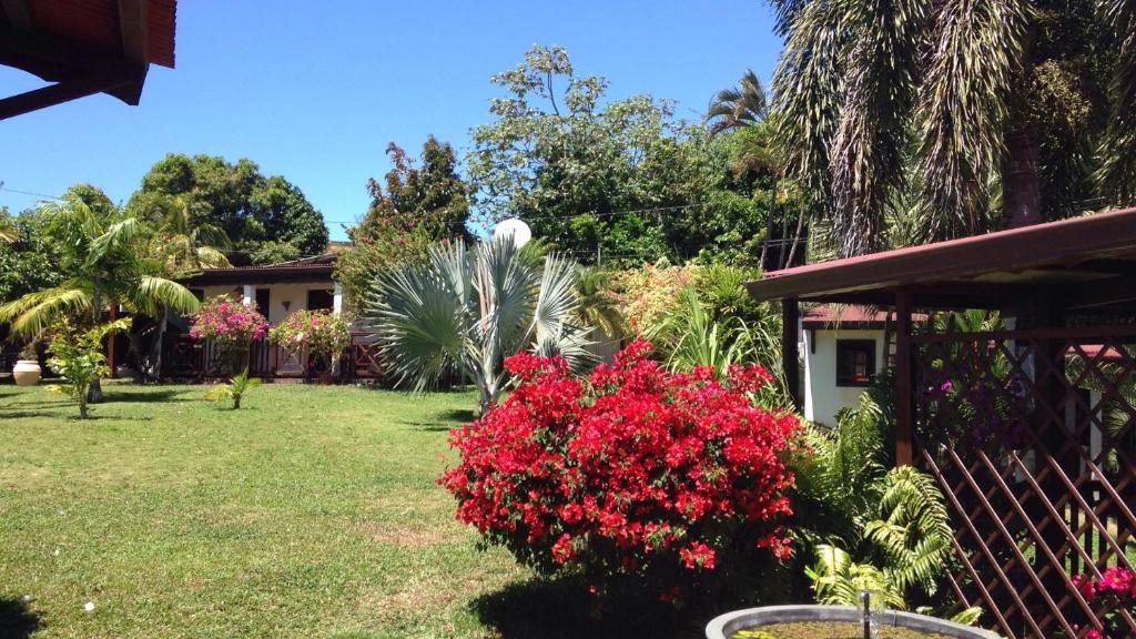 Le bungalow des bougainvilliers photo 4