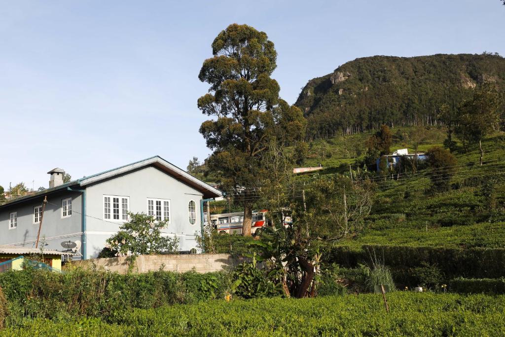 Pedro View Homestay photo 1
