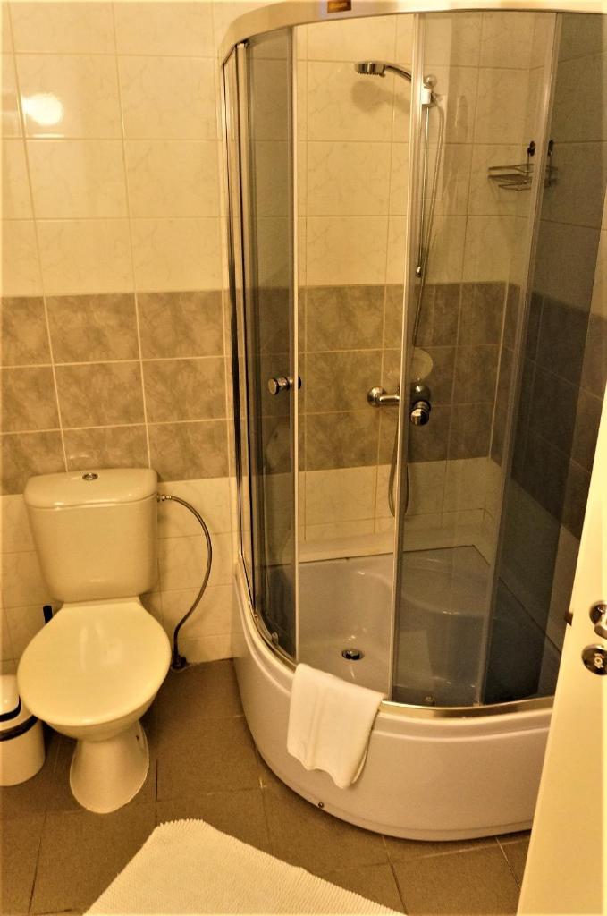 Двухместный (Стандартный двухместный номер с 1 кроватью), Hotel Radharanė