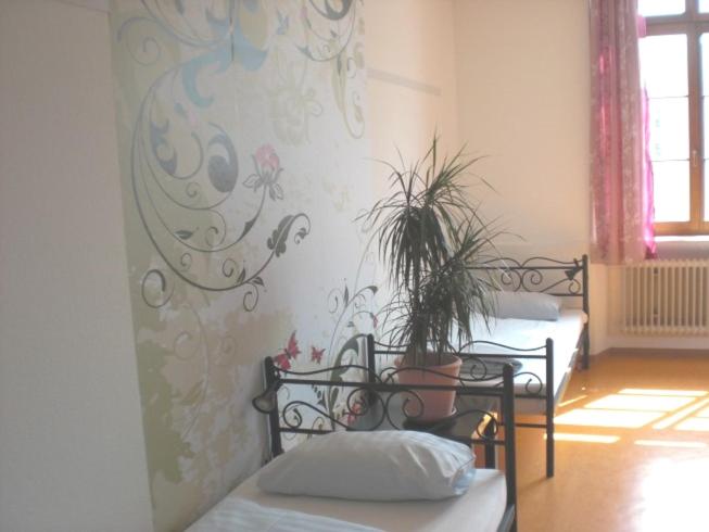 Номер (Односпальная кровать в общем номере для женщин), Steffis Hostel Heidelberg
