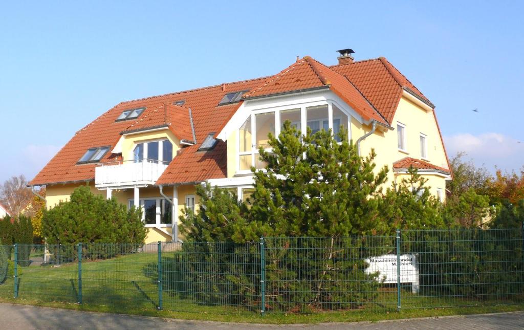 Fernblick