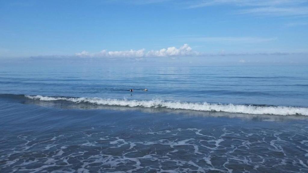 Special Life Beach photo 3