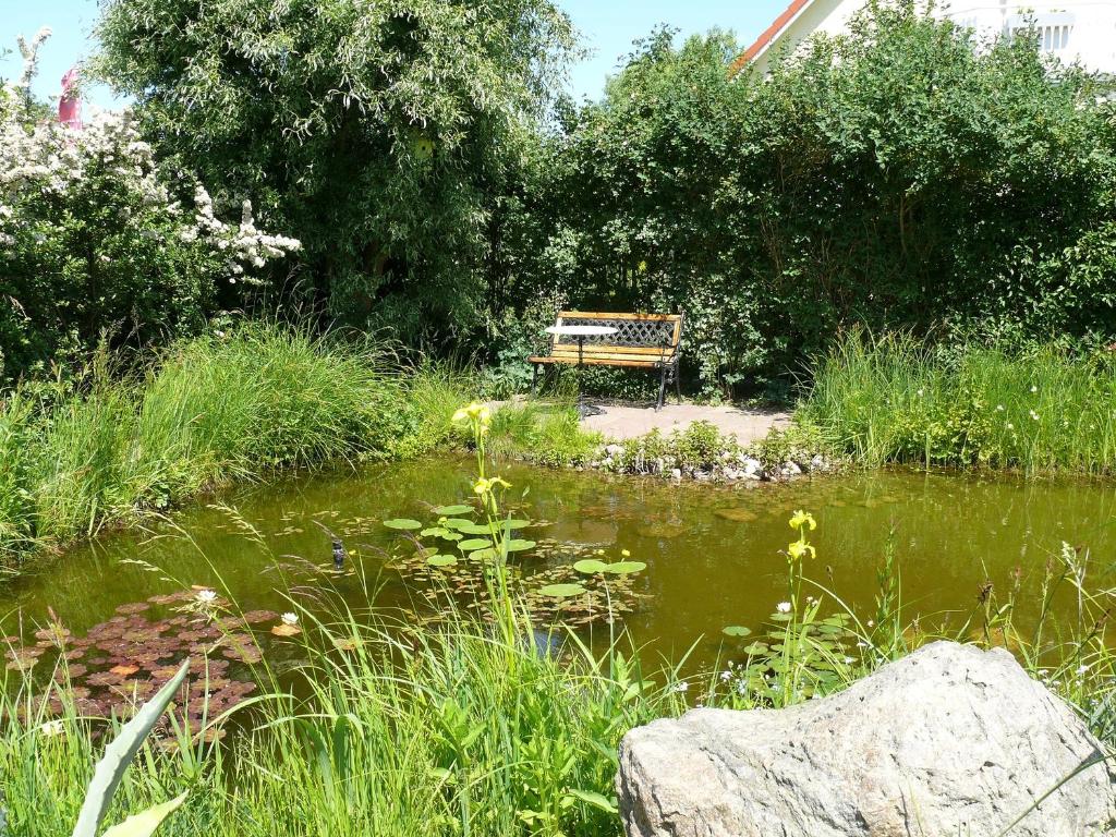 Fernblick photo 4