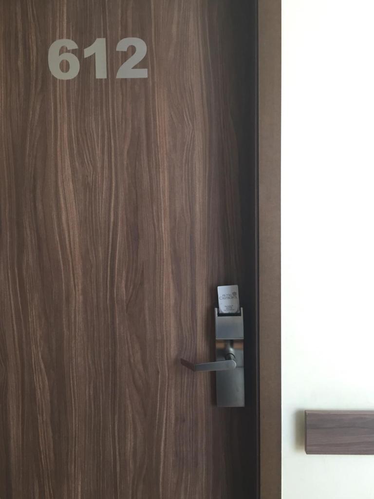 Двухместный (Двухместный номер с 1 кроватью), Hotel Castropol