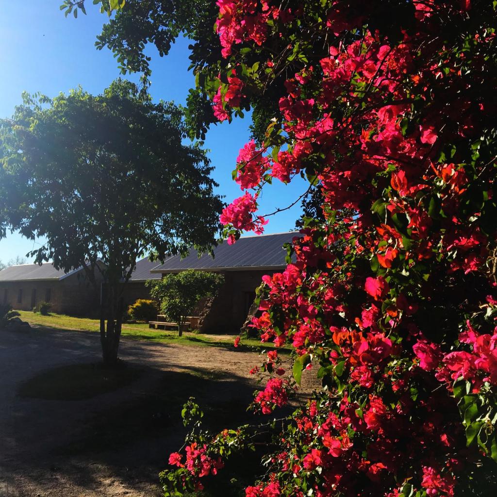 Seven Fountains Farm photo 3