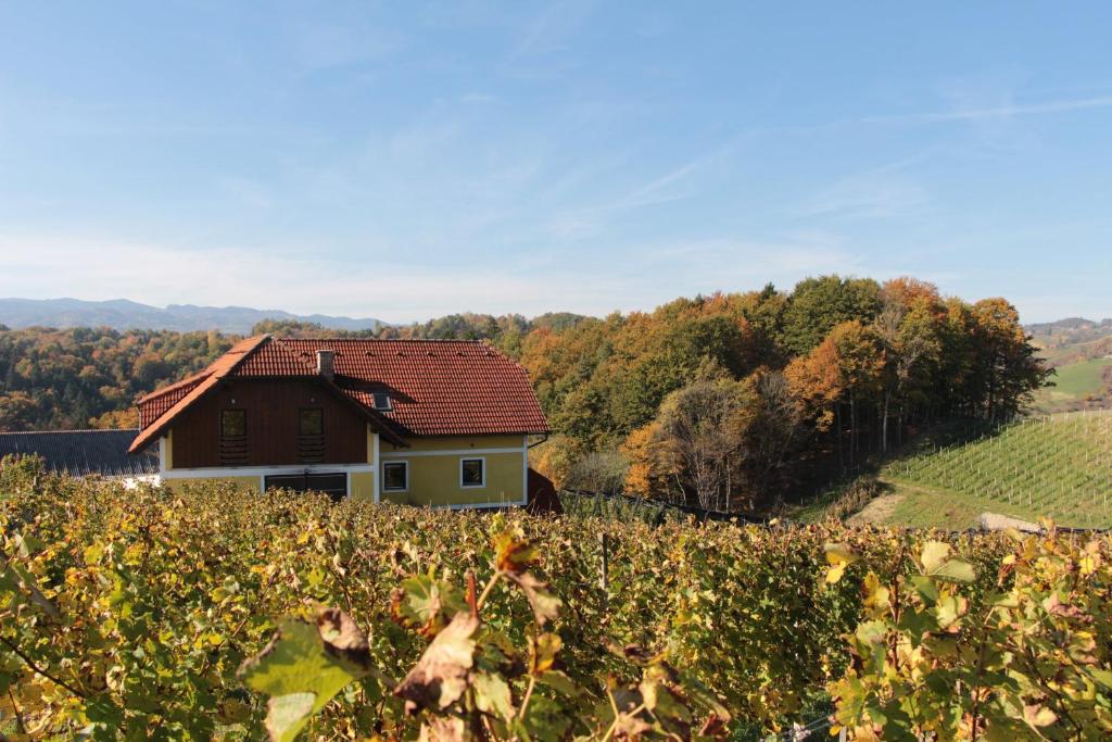 Vdovič Guest House photo 2