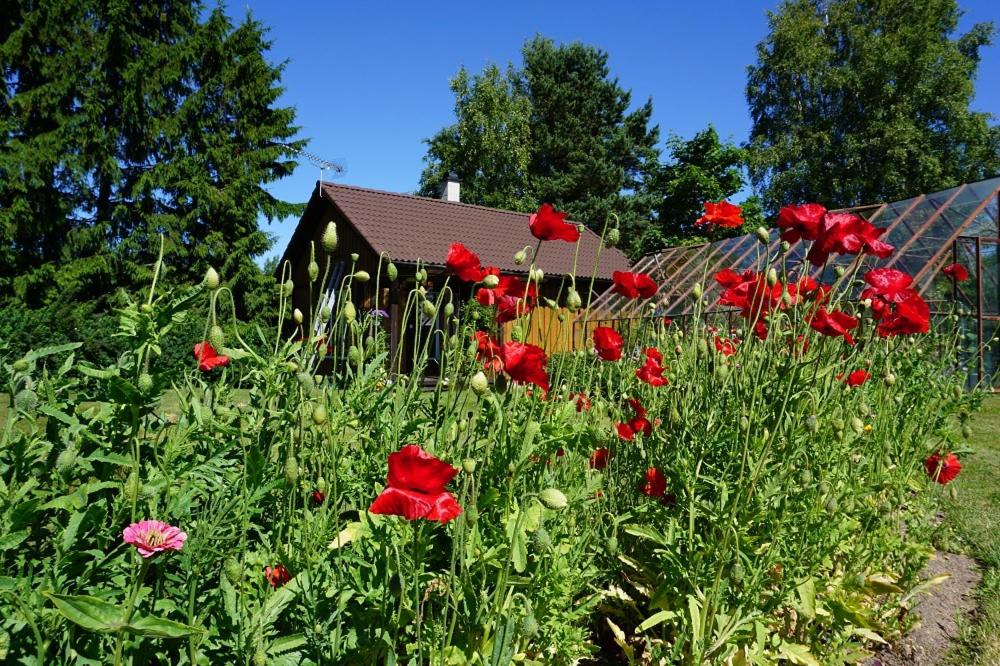 Kelluka Holiday House photo 4