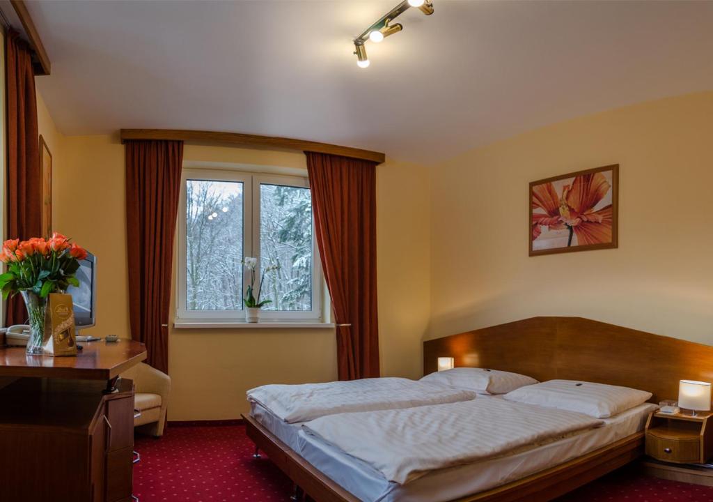 Двухместный (Двухместный номер Делюкс с 1 кроватью), Hotel West