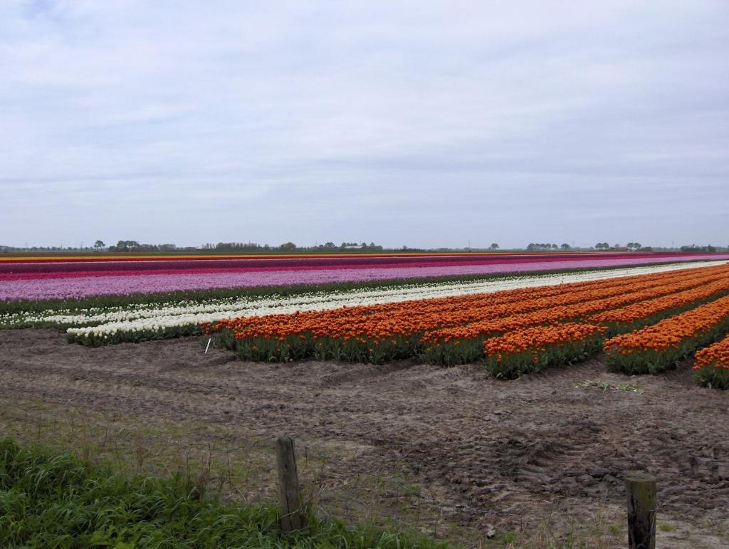 Het Burgemeestershuis photo 4
