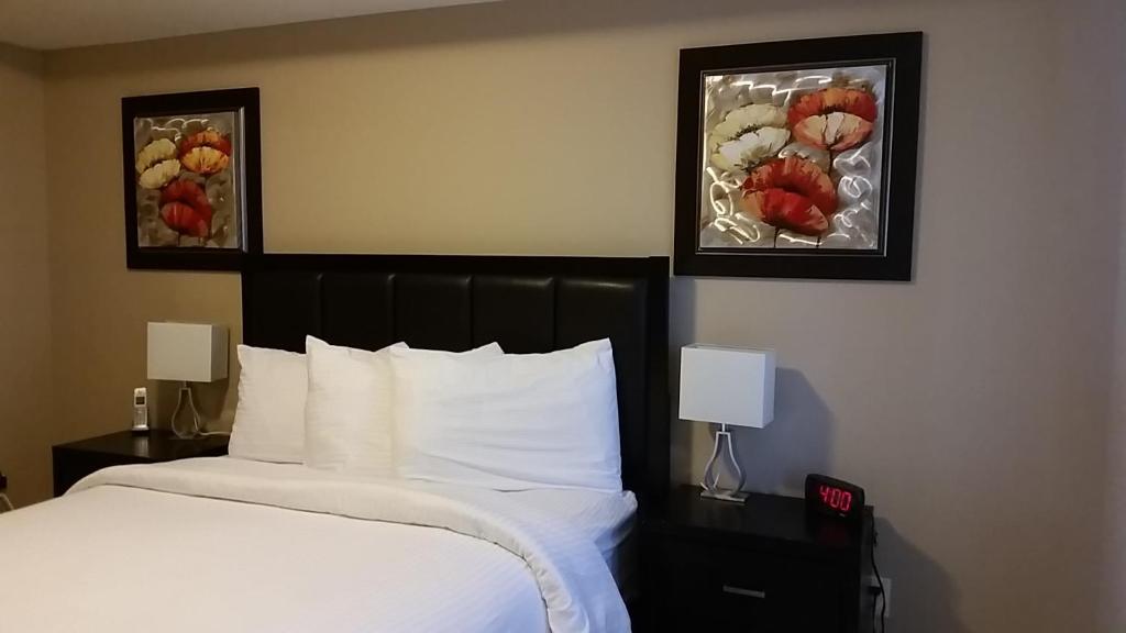 Platinum Suites Furnished Executive Suites photo 4