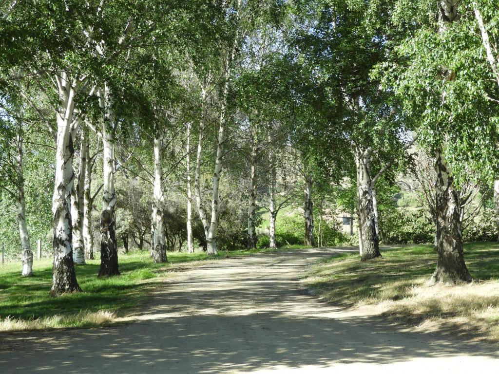 O Naturel Vineyard Stay photo 3