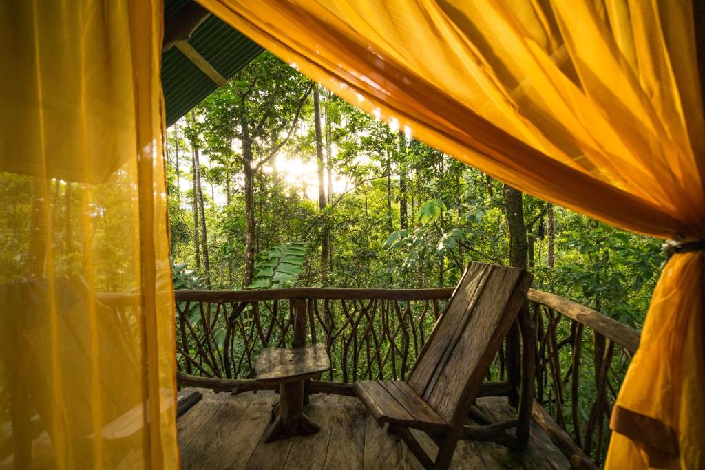 La Tigra Rainforest Lodge photo 4