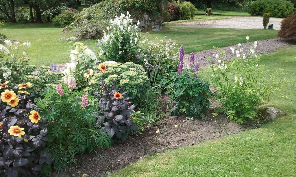 Courtyard Cottage photo 2