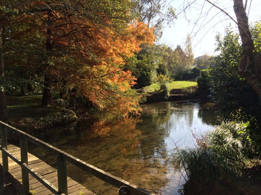 Le Moulin de Mansle photo 1