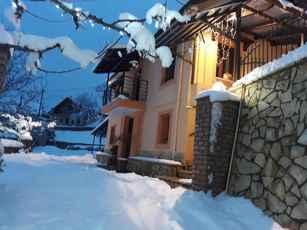 Patriko photo 1