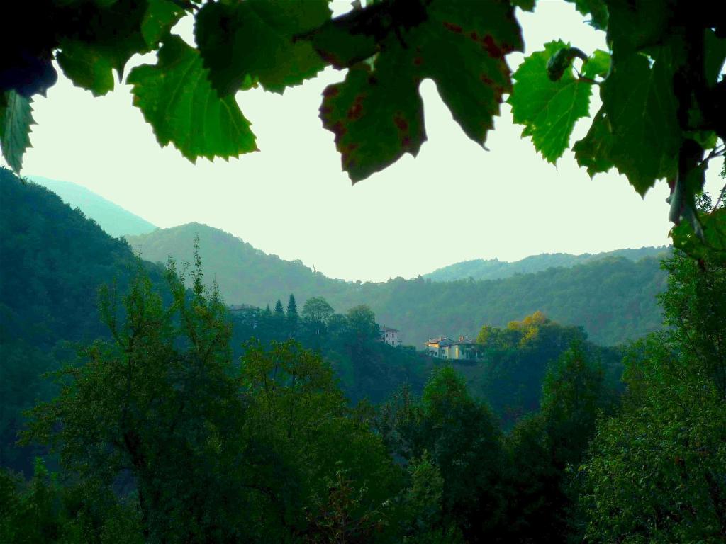 Casa Sittaro photo 3