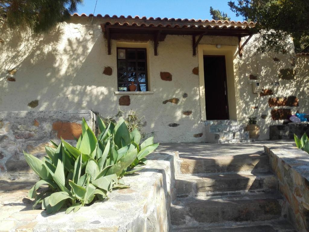 Trouli House photo 1