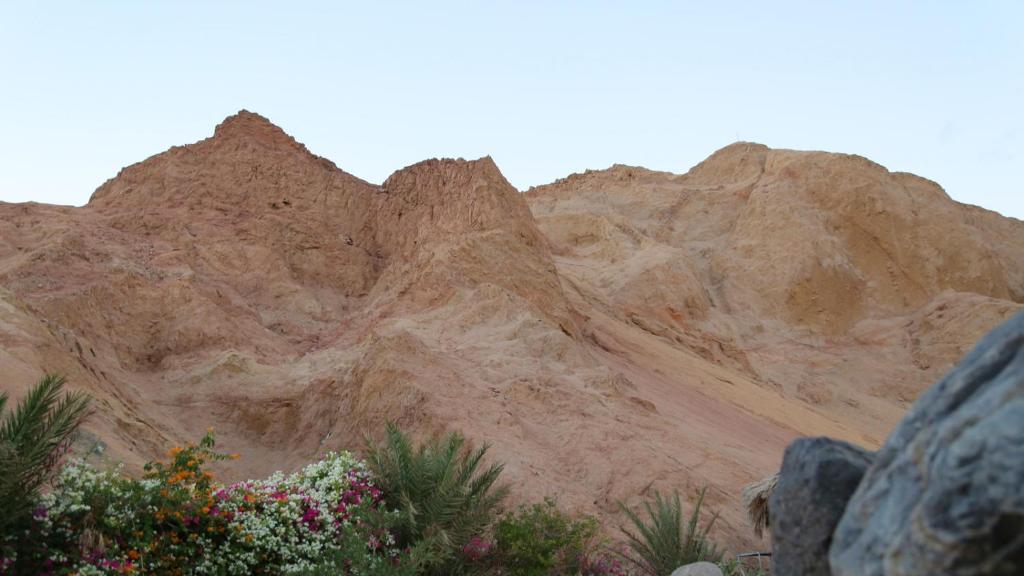 Одноместный (Одноместный номер с видом на горы), The Bedouin Moon Hotel