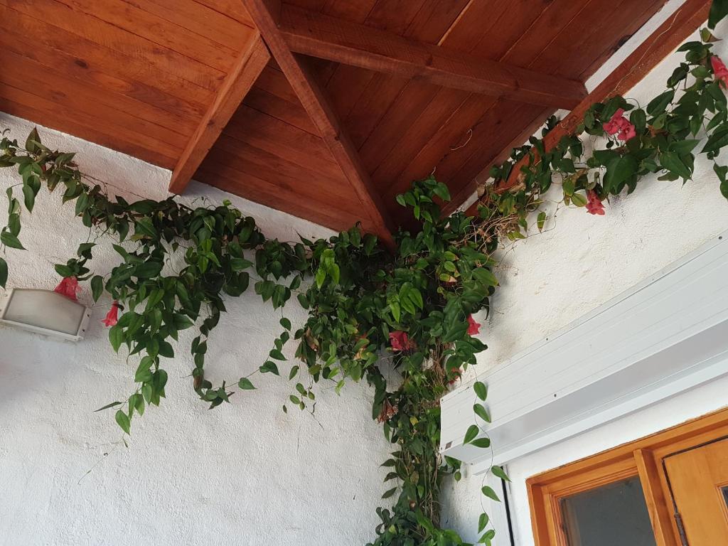 Casa Algarrobo Chile photo 3