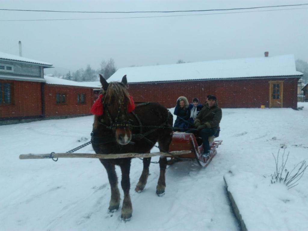 Kosmatska pusanka photo 2