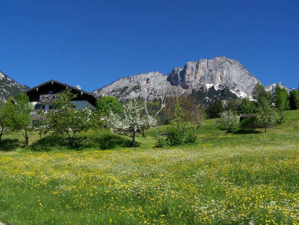 Bauernhof Vorderstiedler photo 2
