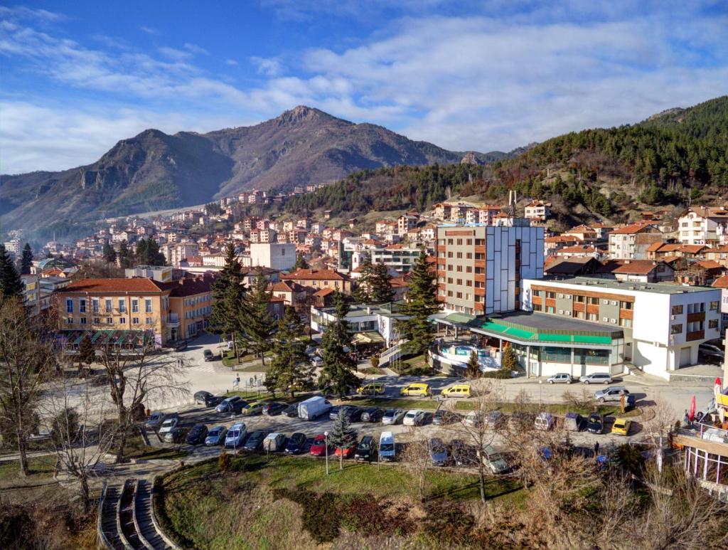 Devin Spa Hotel photo 4