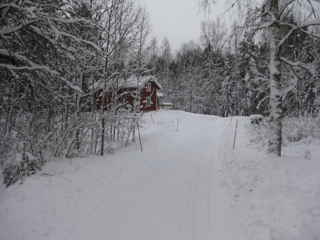 Hyttsnåret photo 4