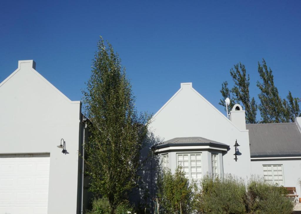5 Pierre Jourdan photo 1