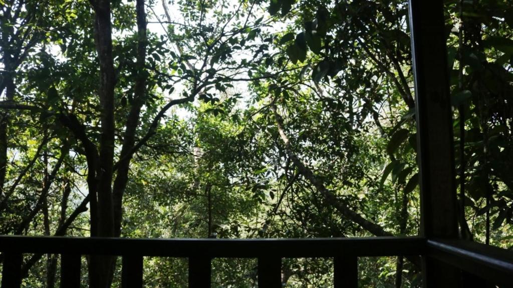 Birds Paradise Hotel photo 3