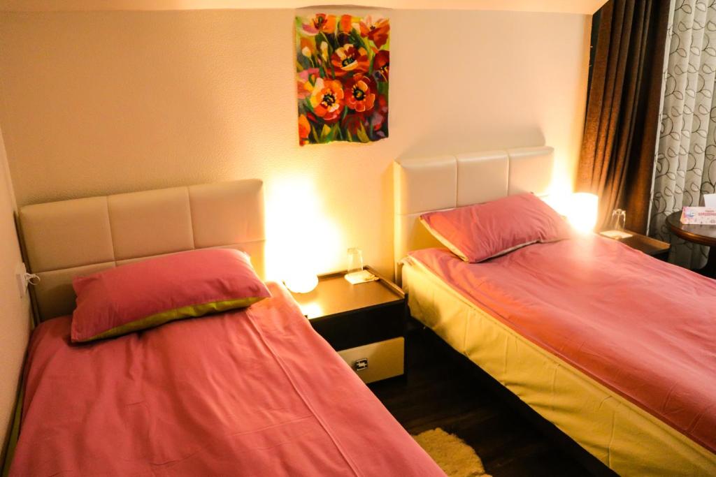 Guest house Altay photo 2
