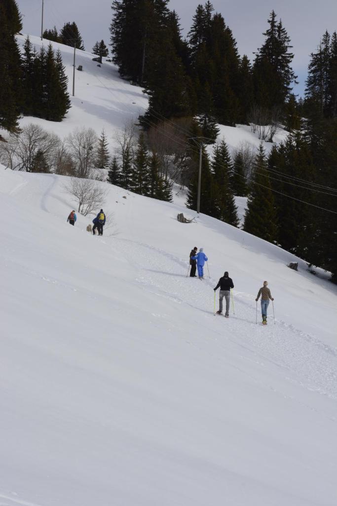 Номер (Шале), Chalet La Folie