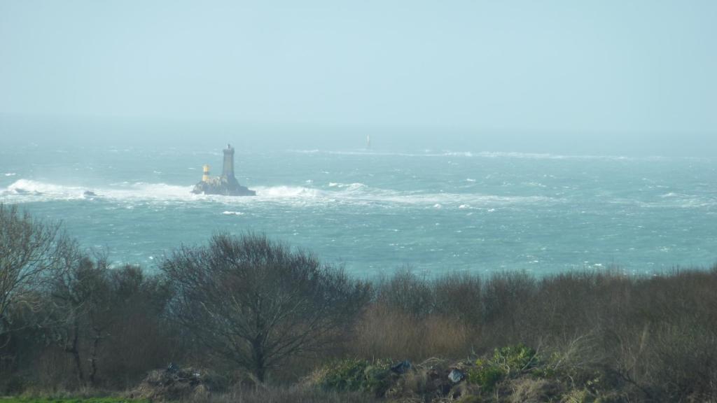 Le Pilleur d'Epaves photo 1